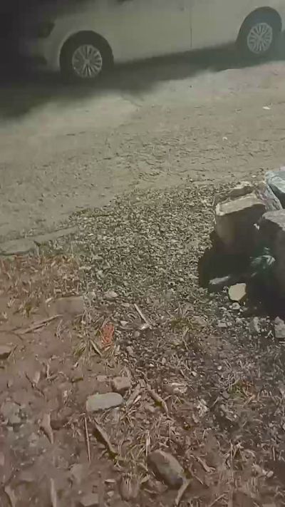 Dotados_sexy live from Brazil