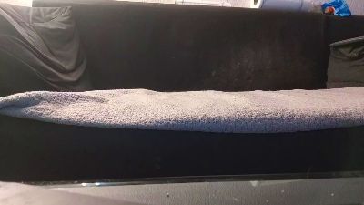 ElHase live from Germany