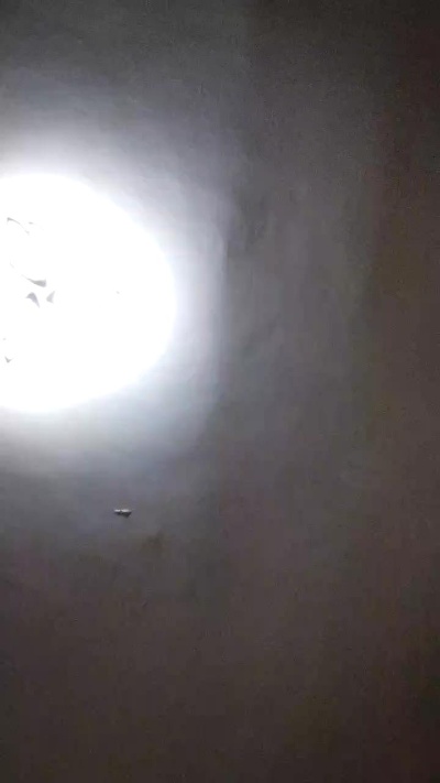 Emanusletiano live from Italy