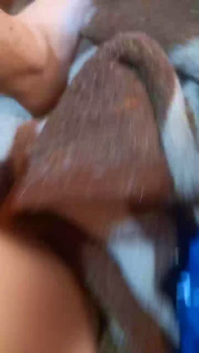 Gatitaonly01 live from Chile