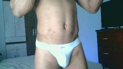 Gato_Delicia_ live from Brazil