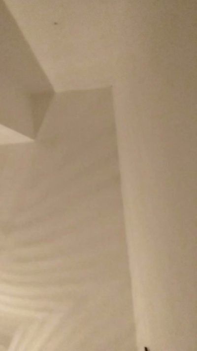 Geusii live from Italy