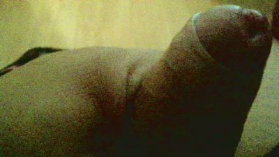 Helena_trans live from Brazil