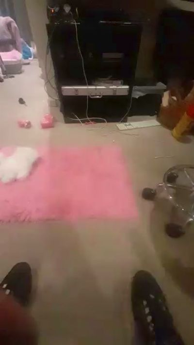 Hungsleazboi live from United Kingdom