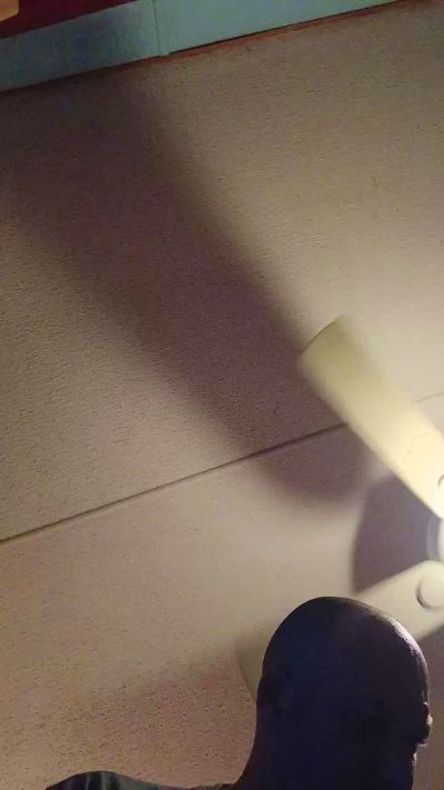 Jbird4200 live from United States