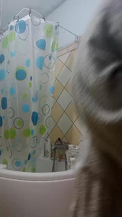 JojoItaly live from Italy