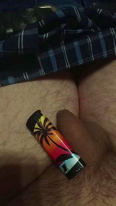 LampiDog live from Germany