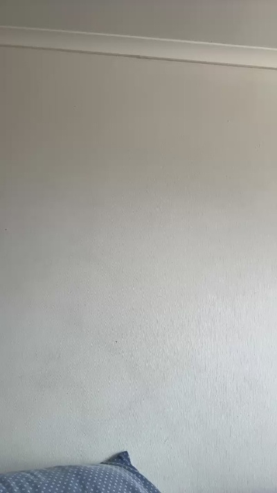 Loresofia live from Chile