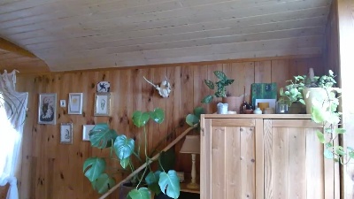 MiaBlome live from Germany