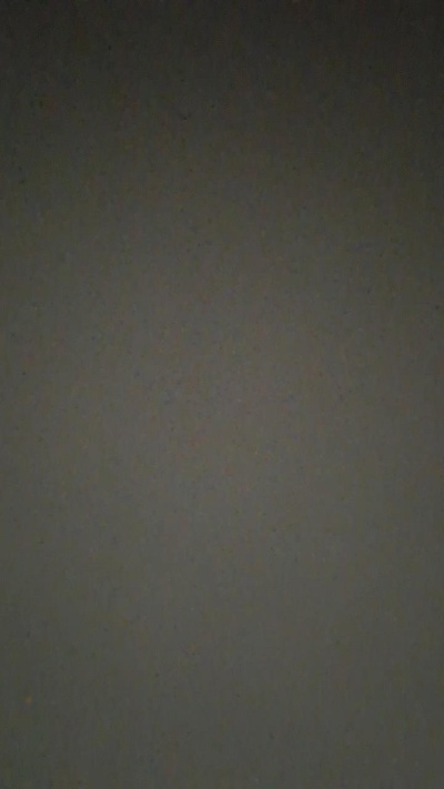 Misscurvy90 live from Italy