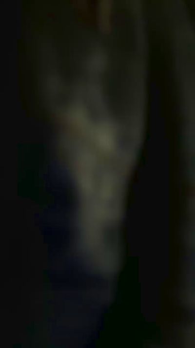 MoaningT live from Netherlands