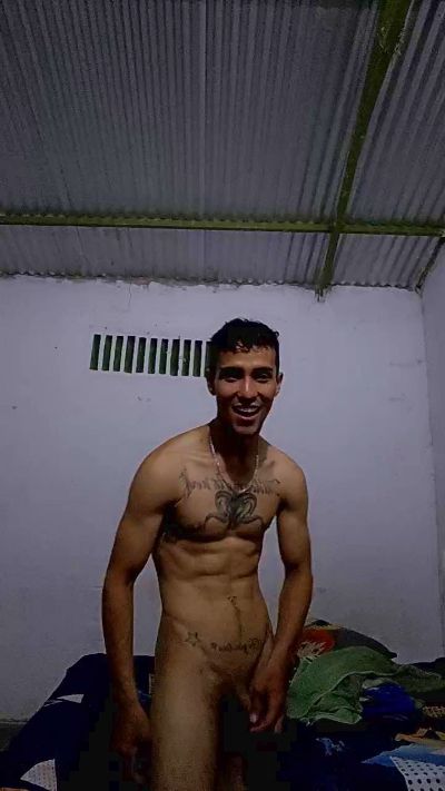 Monekey live from Colombia