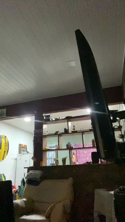 Monocochico live from Argentina