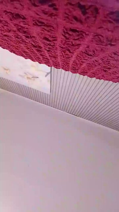 Morbodiana live from United States