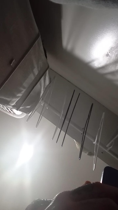 NASTY_XL live from United States