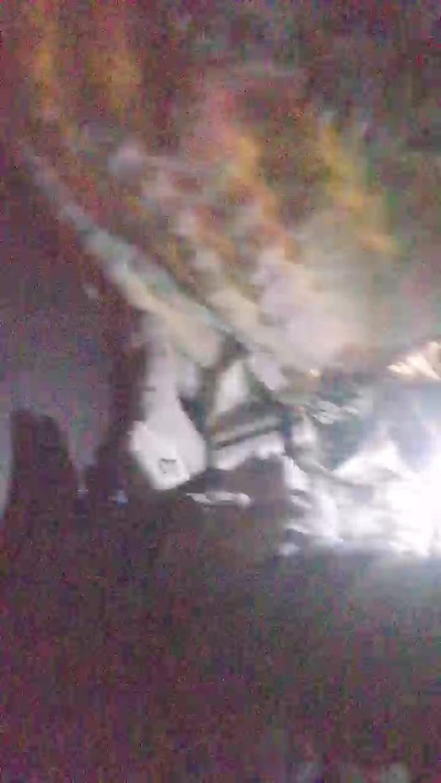 Negro_vergoon live from Mexico