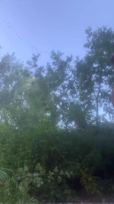 PeterParker1996 live from Chile