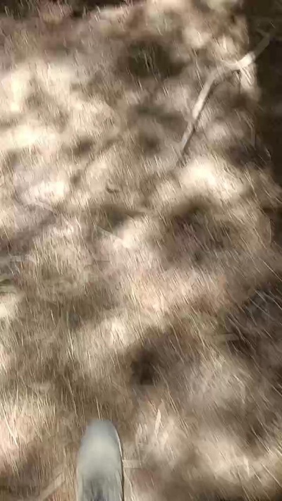 Queenking27 live from Chile