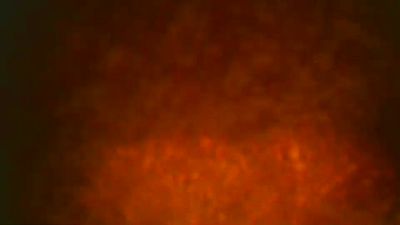 SamuelTal live from Argentina