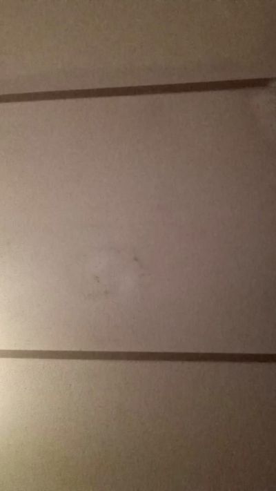 ShOwTiMeNuDe live from United States