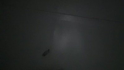 Sirenstouch live from Netherlands