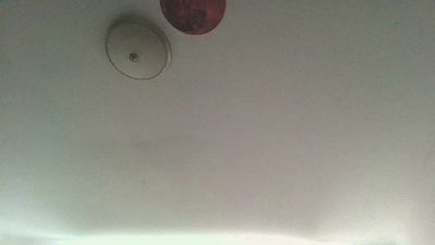 Tall0short live from United States