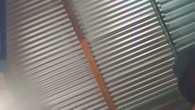 Torito102 live from Mexico