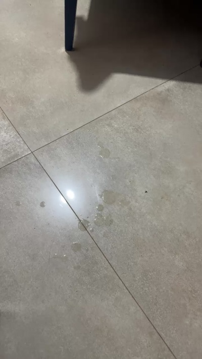 Ursinhao live from Brazil