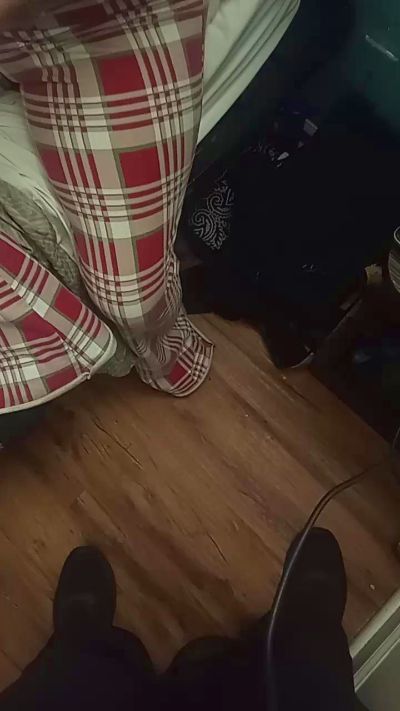 Wettpu live from United States