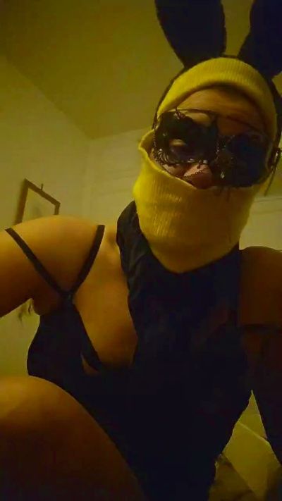 WildAila live from France