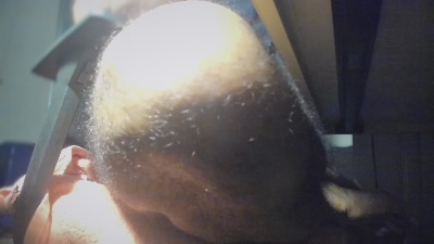 ZenBlack live from Brazil