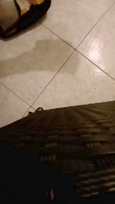 alessandravite1 live from Italy