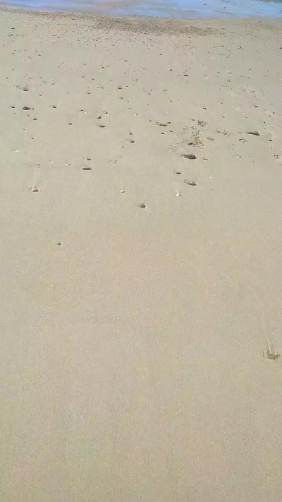 anesnude live from France