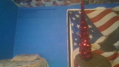 bad1976cock live from United States