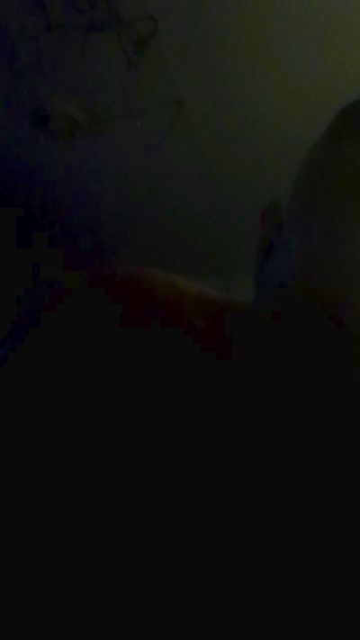 brettdevin live from United States