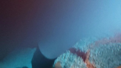 brexka live from Spain