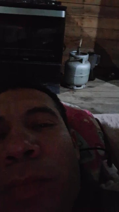 cachorrogat live from Brazil