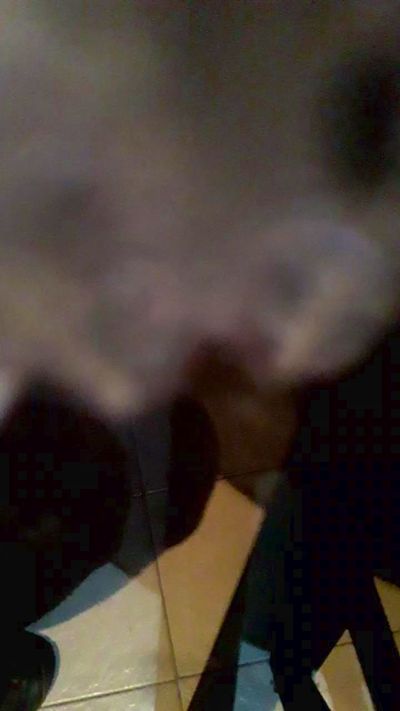 carlosyleonor23 live from Argentina