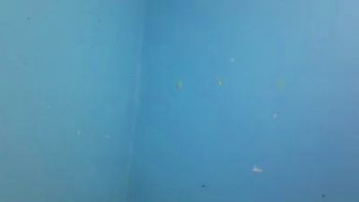 channito_ live from Colombia