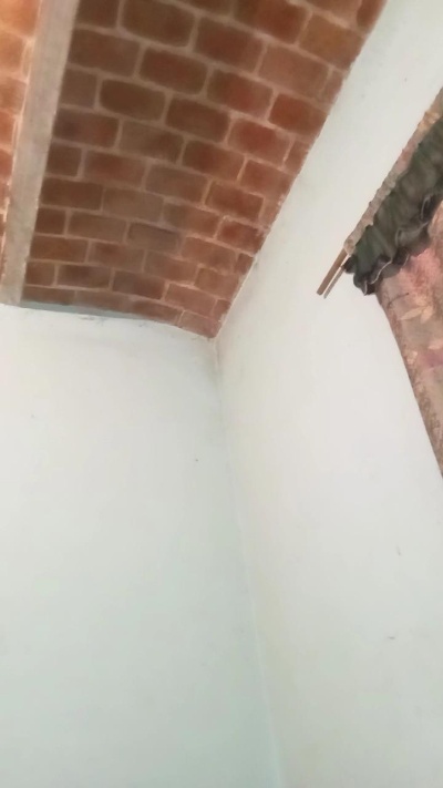 davidgdlfun live from Mexico