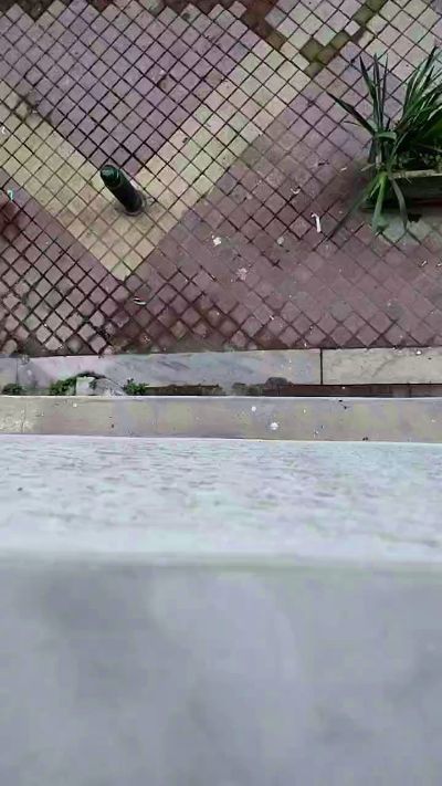 dayanesex live from Portugal