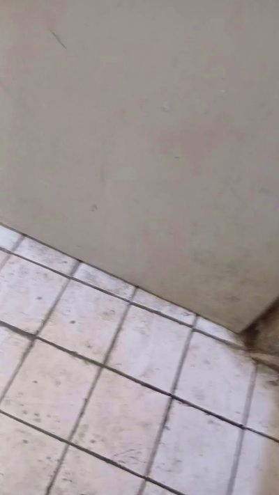 eslikon1 live from Mexico