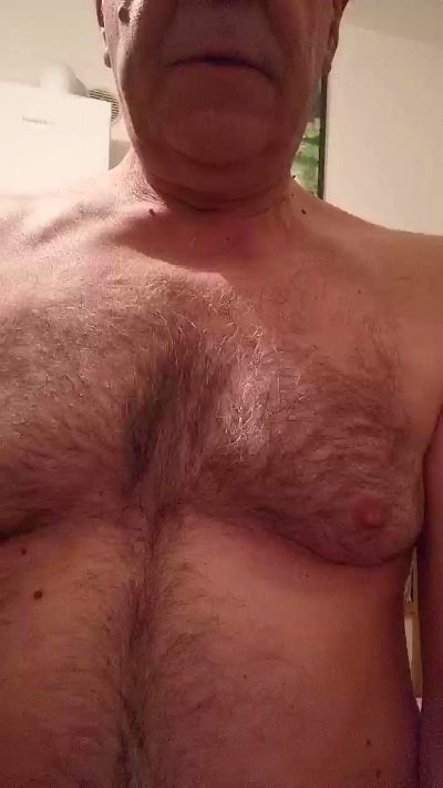 fenicottero1 live from Italy