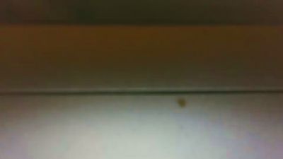 franqy3 live from Netherlands