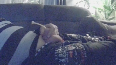 geron02 live from Germany