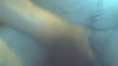 ginger385 live from United States