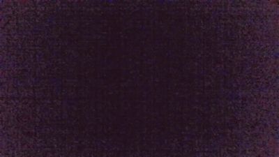 immerwir live from Germany