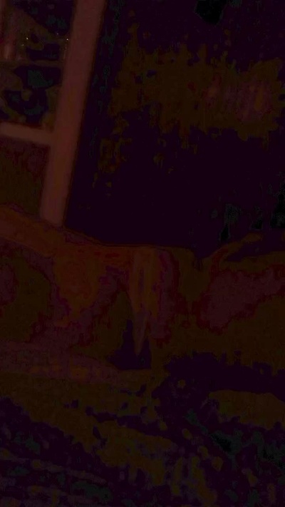 iris19951 live from Brazil