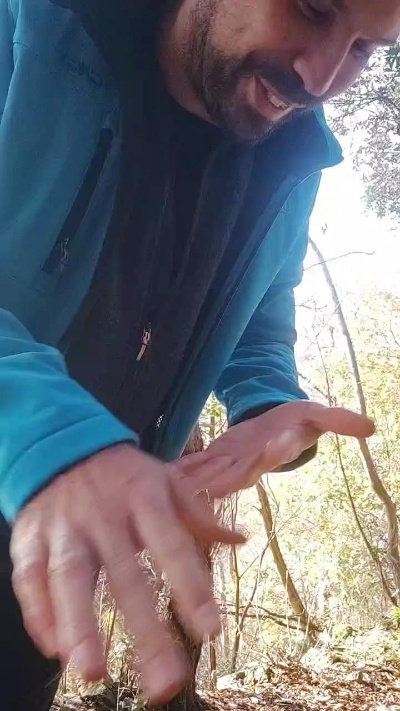 lanzok90 live from Italy