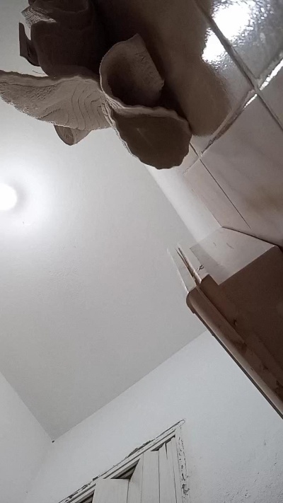 leonardobrasil3 live from Brazil